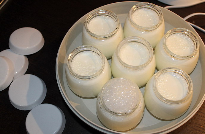 Girmi. Yogurtiera con 7 vasetti usati per 15 EUR su Masnago su WALLAPOP